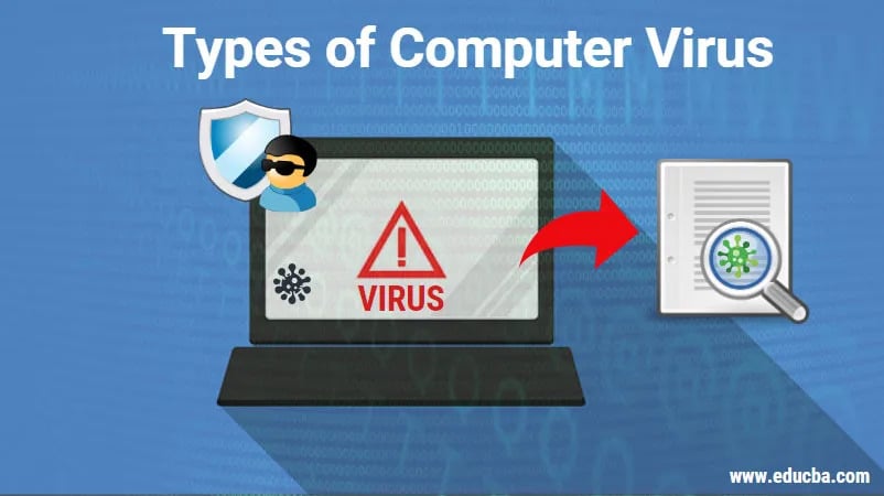 There Are Various Types of Viruses Which Can Lead Our Digital Life to a Disaster