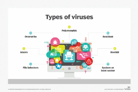Computer Viruses Come In Many Forms and Are Constantly Evolving
